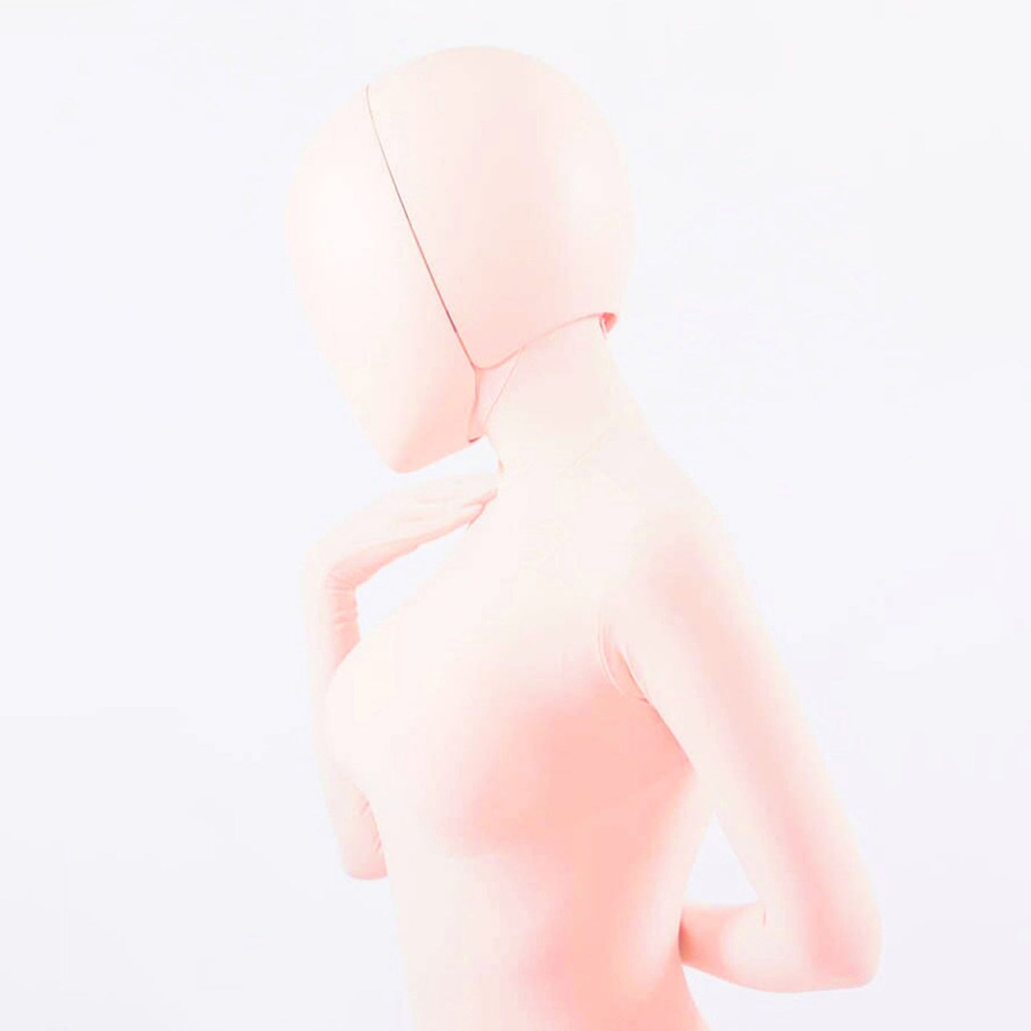 Model Pure Blank Full Head Face Shield Mask - Quaworth