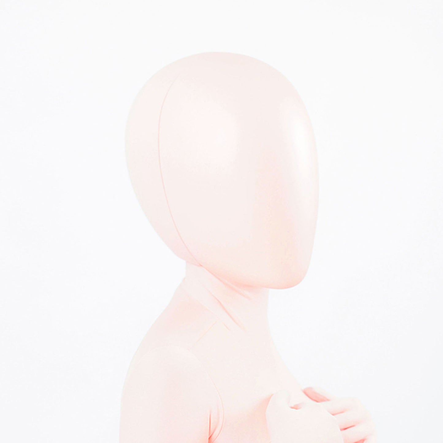 Model Pure Blank Full Head Face Shield Mask - Quaworth