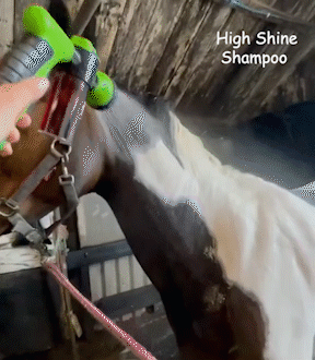 Petzel Multifunction Spray Nozzle - Quaworth