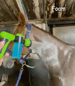 Petzel Multifunction Spray Nozzle - Quaworth