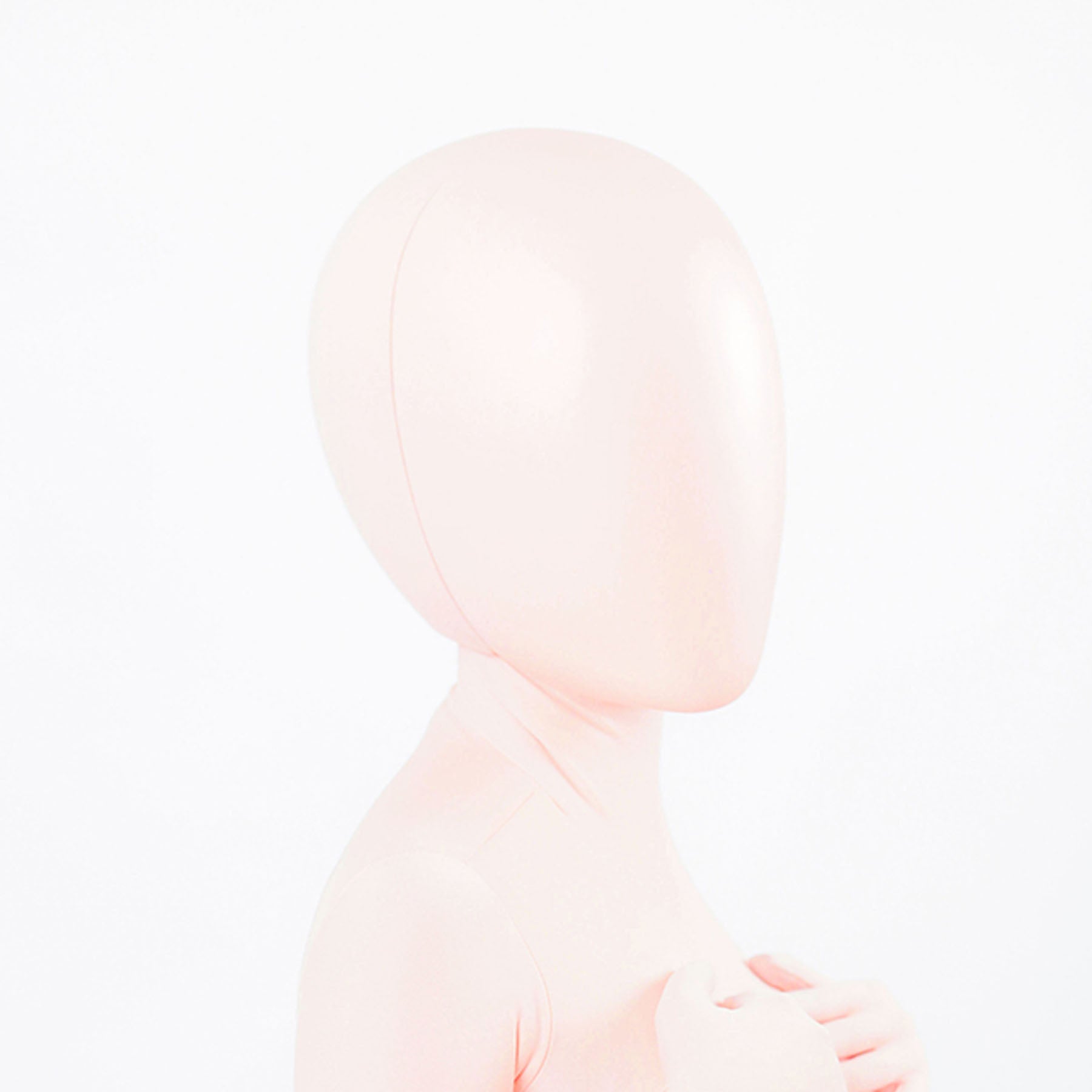 Model Pure Blank Full Head Face Shield Mask - Quaworth
